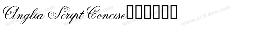 Anglia Script Concise字体转换